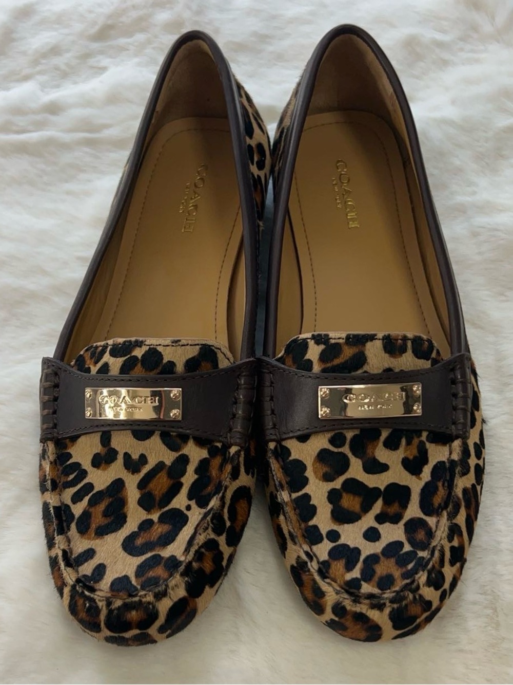 Coach Leopard-Print Penny Loafers in Brown and Black